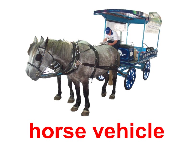 horse vehicle